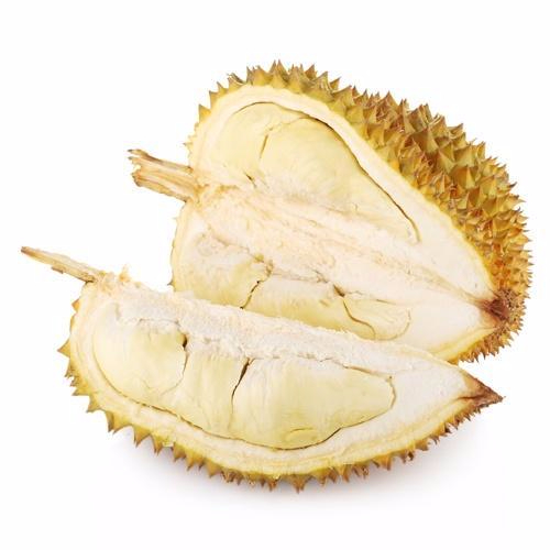 开云真人娱乐平台产品名称二