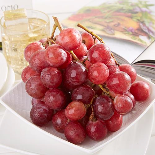 开云真人娱乐平台产品名称五